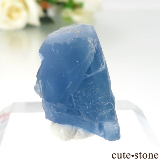 ꥫ ˥塼ᥭ TEAA Mine ֥롼ե饤Ȥθ No.17μ̿0 cute stone
