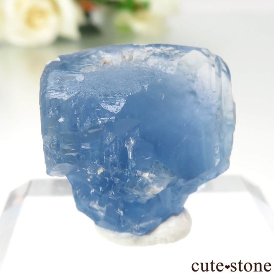 ꥫ ˥塼ᥭ TEAA Mine ֥롼ե饤Ȥθ No.17μ̿1 cute stone