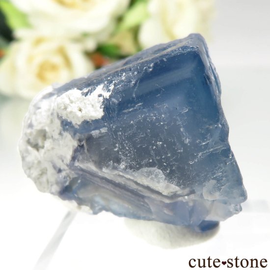 ꥫ ˥塼ᥭ TEAA Mine ֥롼ե饤Ȥθ No.18μ̿0 cute stone