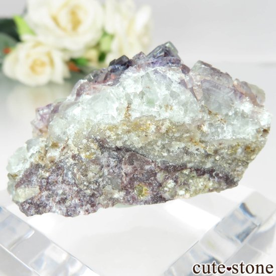 ɥ ReiBbuhl Mine ե饤Ȥθ No.5μ̿1 cute stone
