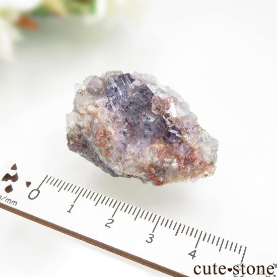 ɥ ReiBbuhl Mine ե饤Ȥθ No.5μ̿3 cute stone