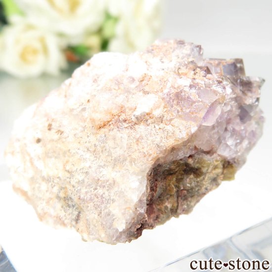 ɥ ReiBbuhl Mine ե饤Ȥθ No.6μ̿0 cute stone