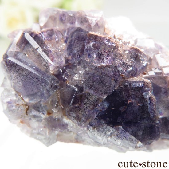 ɥ ReiBbuhl Mine ե饤Ȥθ No.6μ̿2 cute stone
