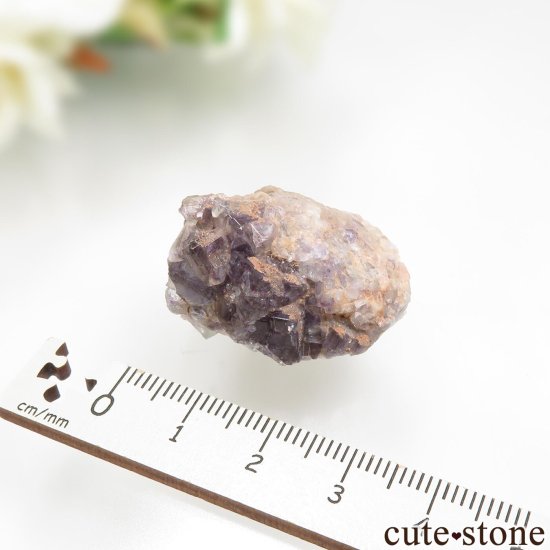 ɥ ReiBbuhl Mine ե饤Ȥθ No.6μ̿3 cute stone