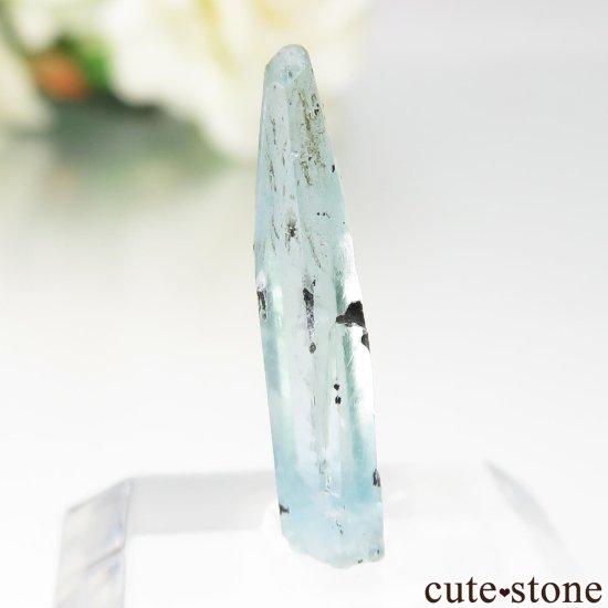 ֥饸 Mimoso do Sul ޥʥܥȥˤθ No.7μ̿0 cute stone
