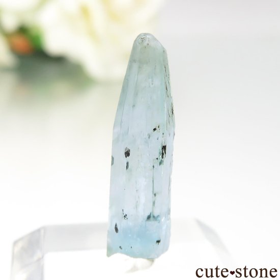 ֥饸 Mimoso do Sul ޥʥܥȥˤθ No.7μ̿1 cute stone