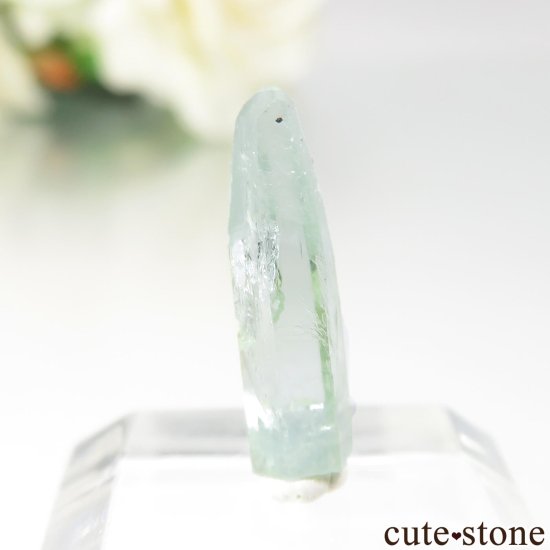 ֥饸 Mimoso do Sul ޥʥܥȥˤθ No.8μ̿0 cute stone
