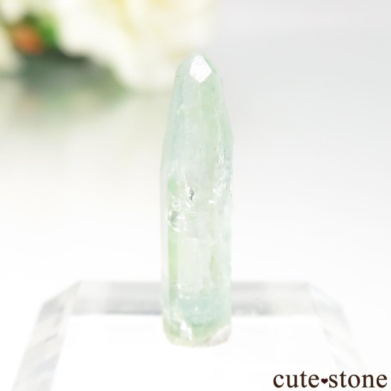֥饸 Mimoso do Sul ޥʥܥȥˤθ No.8μ̿1 cute stone