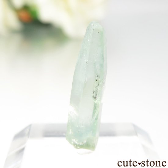 ֥饸 Mimoso do Sul ޥʥܥȥˤθ No.8μ̿2 cute stone