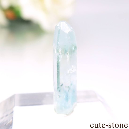 ֥饸 Mimoso do Sul ޥʥܥȥˤθ No.9μ̿0 cute stone