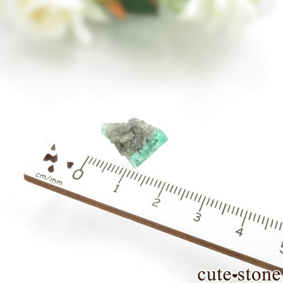 ӥ Muzo Mine ɤθ No.12μ̿3 cute stone