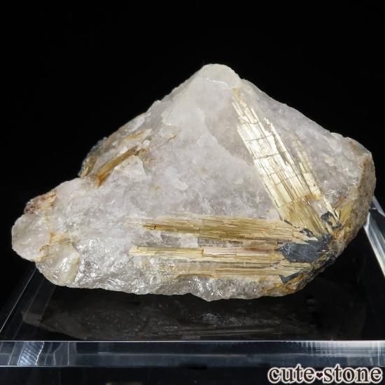 ֥饸 Х ĤθСۥ No.15