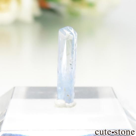 ʥߥӥ 󥴻 ᥸ХȡʥߥСˤθ No.22μ̿1 cute stone