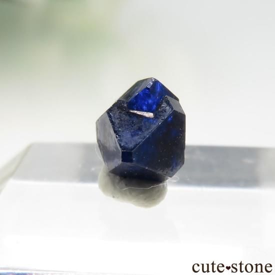ᥭ Santa Rosalia 󥸥㥤Ȥθ No.1μ̿0 cute stone