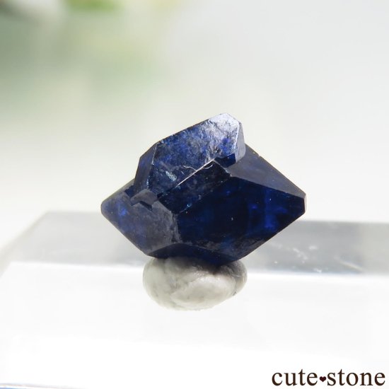 ᥭ Santa Rosalia 󥸥㥤Ȥθ No.1μ̿1 cute stone