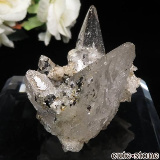 ͥѡ ͡ҥޡ뻺ġʿ徽ˡ֥åȥޥθ No.2μ̿2 cute stone