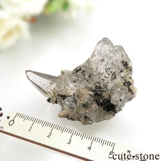 ͥѡ ͡ҥޡ뻺ġʿ徽ˡ֥åȥޥθ No.2μ̿3 cute stone