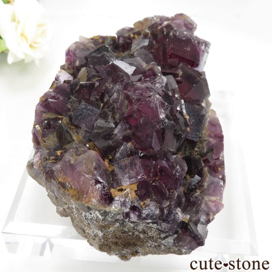 ʥߥӥ Okorusu Mine ե饤Ȥθ No.30μ̿0 cute stone