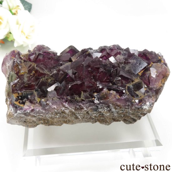 ʥߥӥ Okorusu Mine ե饤Ȥθ No.30μ̿1 cute stone