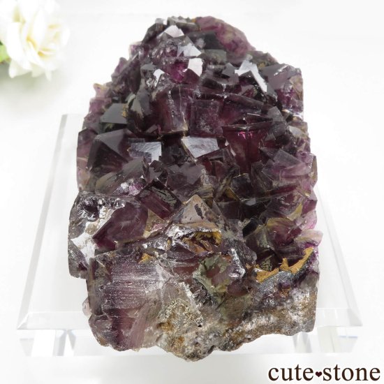 ʥߥӥ Okorusu Mine ե饤Ȥθ No.30μ̿2 cute stone