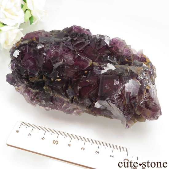 ʥߥӥ Okorusu Mine ե饤Ȥθ No.30μ̿7 cute stone