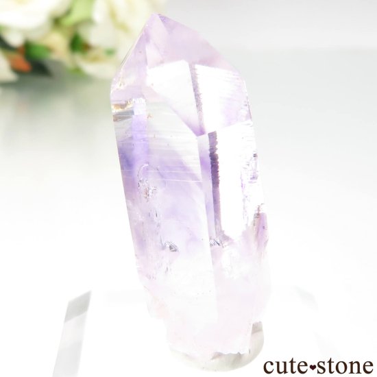 ʥߥӥ ֥ɥС Goboboseb ꥢ᥸Ȥθ No.5μ̿1 cute stone