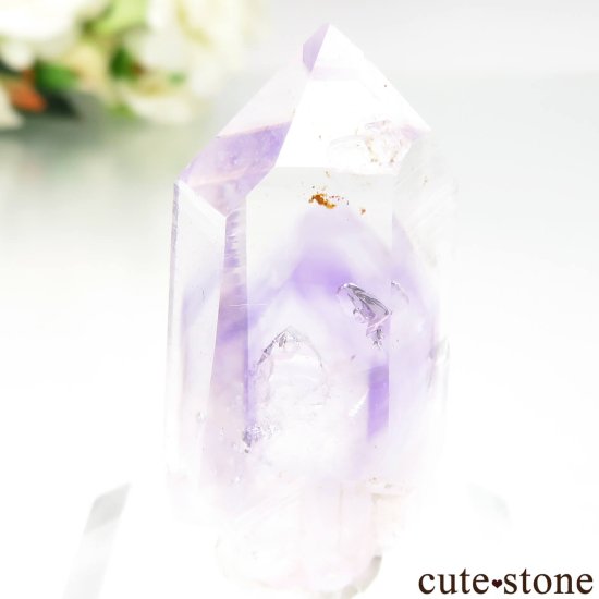 ʥߥӥ ֥ɥС Goboboseb ꥢ᥸Ȥθ No.5μ̿2 cute stone