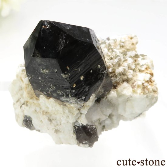 츩 󥴡 - ꥪ(徽)θ No.3μ̿1 cute stone