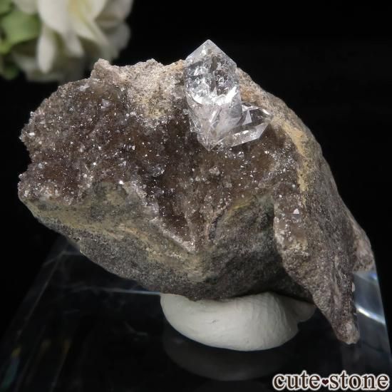 ˥塼衼 ϡޡ ġʥϡޡɡˤդ No.5μ̿1 cute stone