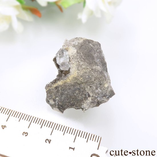 ˥塼衼 ϡޡ ġʥϡޡɡˤդ No.5μ̿3 cute stone