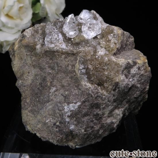 ˥塼衼 ϡޡ ġʥϡޡɡˤդ No.6μ̿1 cute stone