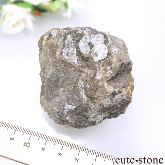 ˥塼衼 ϡޡ ġʥϡޡɡˤդ No.6μ̿5 cute stone