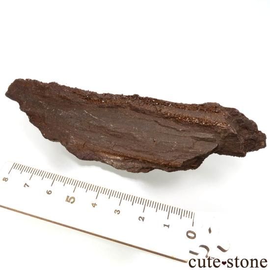 ドイツ Zwenkau産 ペトリファイドウッド(珪化木)&クォーツ No.1の写真0 cute stone