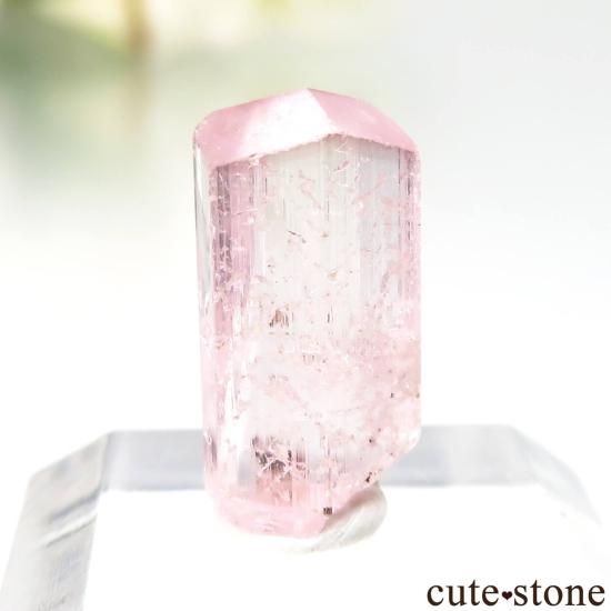 ե˥ Paprok ԥ󥯥ȥޥθ No.16