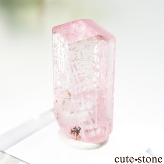 ե˥ Paprok ԥ󥯥ȥޥθ No.16μ̿0 cute stone