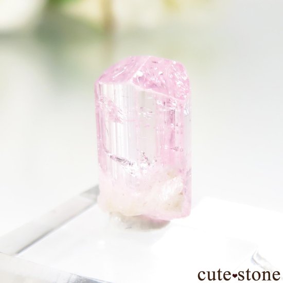 ե˥ Paprok ԥ󥯥ȥޥθ No.17μ̿0 cute stone