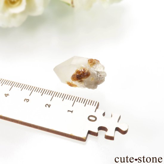 ʡ Yunxiao ⡼ġڥƥ󥬡ͥåȤθ No.19μ̿3 cute stone