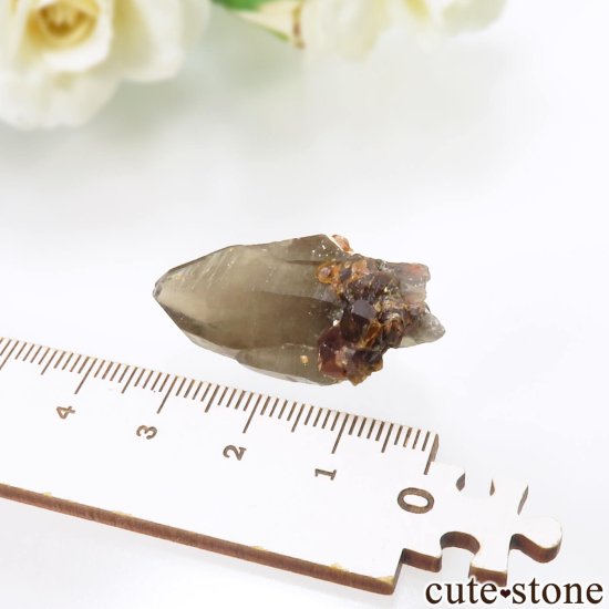 ʡ Yunxiao ⡼ġڥƥ󥬡ͥåȤθ No.20μ̿3 cute stone