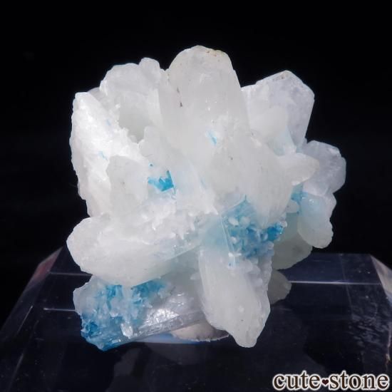  ץ͡ Wagholi Х󥵥ȡƥХȤθ No.46μ̿0 cute stone