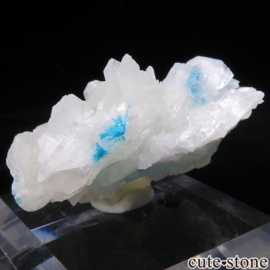  ץ͡ Wagholi Х󥵥ȡƥХȤθ No.47μ̿1 cute stone