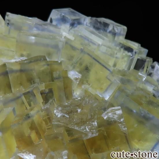 ե La Barre Mine ߥ饤ȥ֥롼ե饤Ȥη뾽ʸСNo.58μ̿1 cute stone