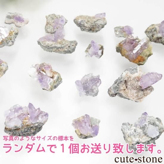 ڥǣĤϤ ꥢ Sardinia ᥸Ȥθ