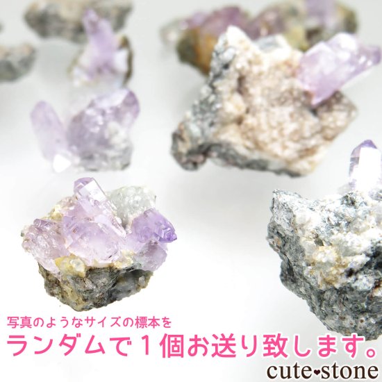 ڥǣĤϤ ꥢ Sardinia ᥸ȤθФμ̿0 cute stone
