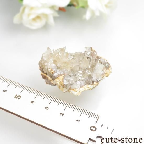 å 륵Ȥθ No.2μ̿1 cute stone