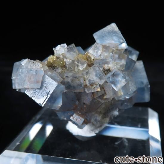 ʥߥӥ ֥ɥСBrandberg˻ ֥롼ե饤Ȥθ No.1μ̿1 cute stone