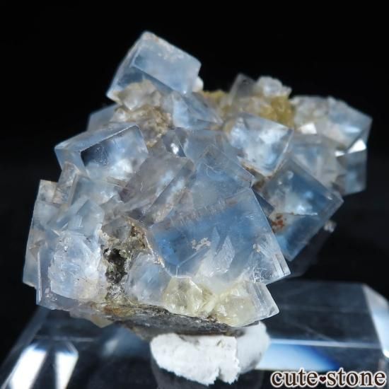 ʥߥӥ ֥ɥСBrandberg˻ ֥롼ե饤Ȥθ No.1μ̿3 cute stone