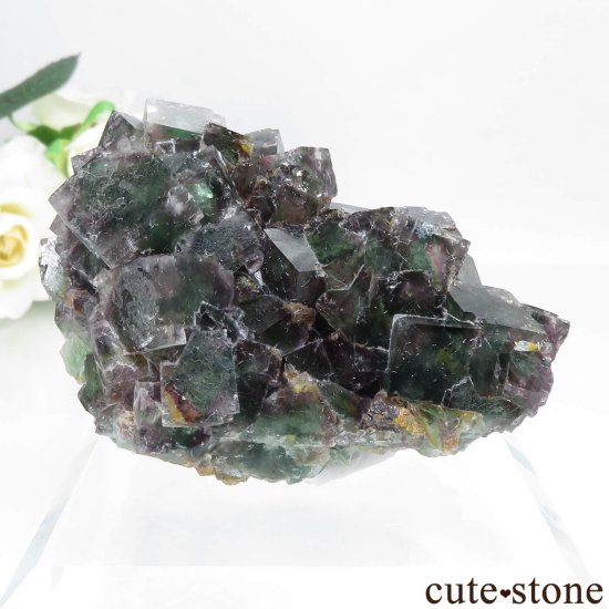 󥰥 Weardale ե饤Ȥθ No.1μ̿1 cute stone