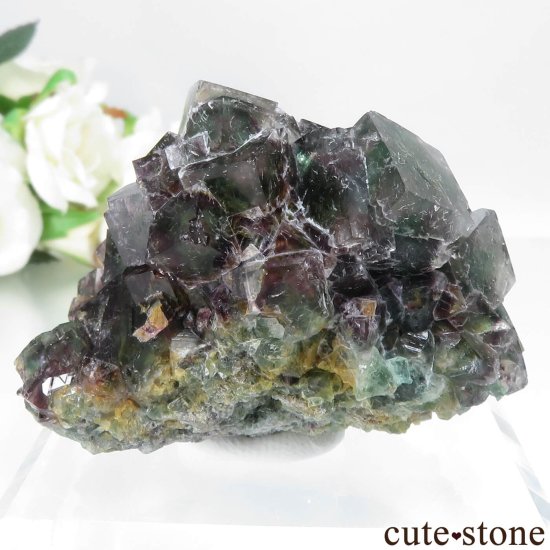 󥰥 Weardale ե饤Ȥθ No.1μ̿2 cute stone