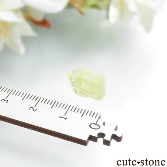 ֥饸 Linopolis ֥饸ꥢʥȤθ No.12μ̿3 cute stone