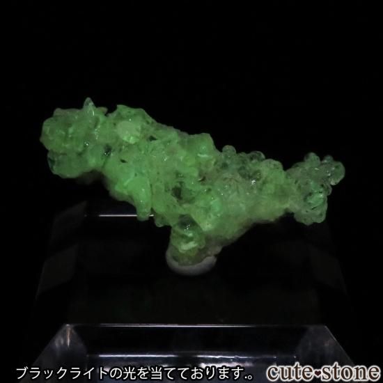 ナミビア エロンゴ産 ハイアライトの原石 No.4 - cute stone -